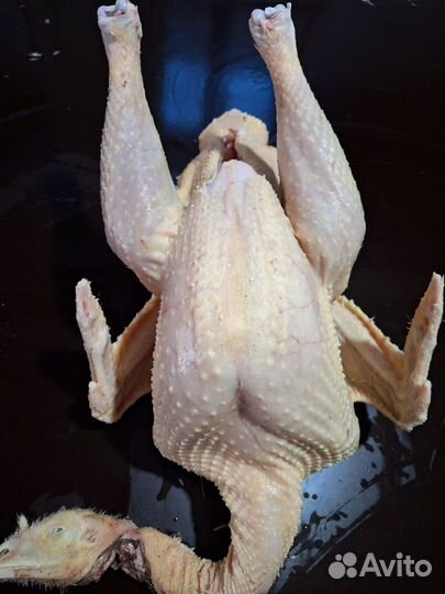 Мясо индюка и индейки