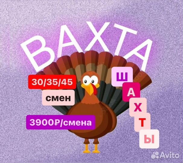 Работа вахтой фасовщиком птицы/Высокая ставка