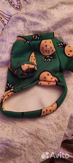 Одежда для собак и кошек