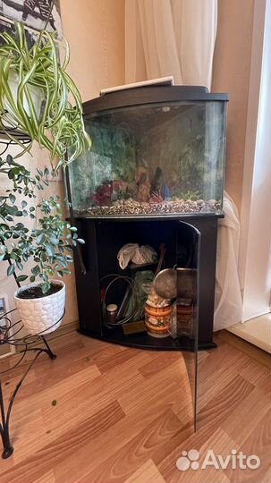 Аквариум с тумбой