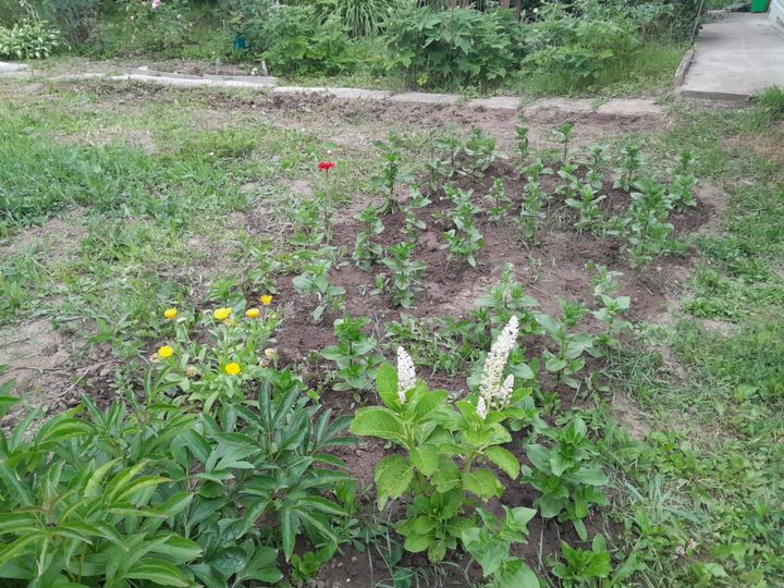 Дача 36 м² на участке 7 сот.