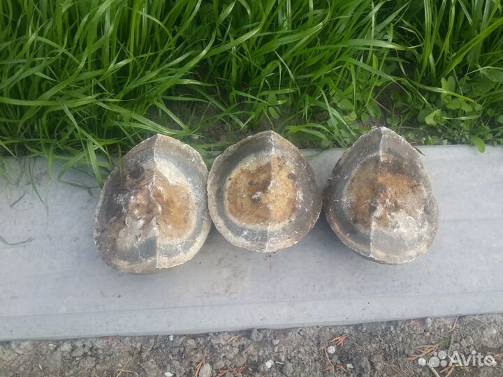 Окаменелости