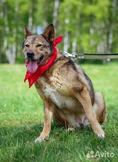 Стеша полжизни за решеткой