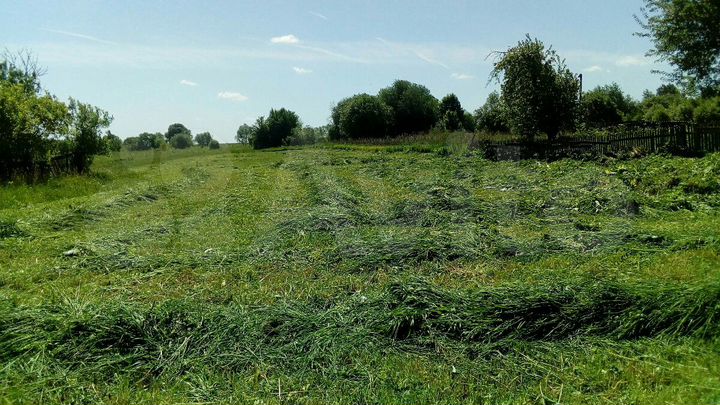 Участок 20 сот. (ИЖС)