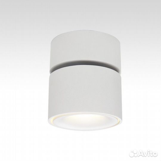 Спот Citilux CL558010N