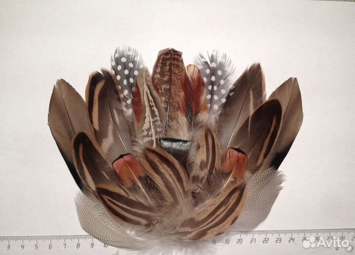 Перья для творчества