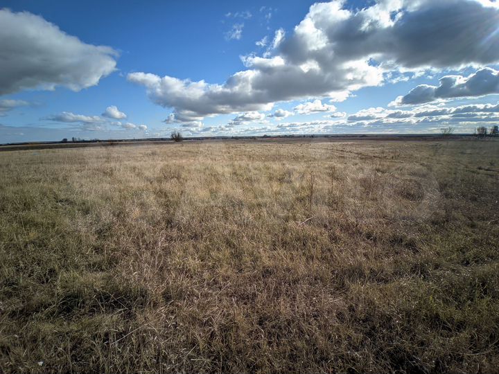 Участок 98,9 сот. (ИЖС)