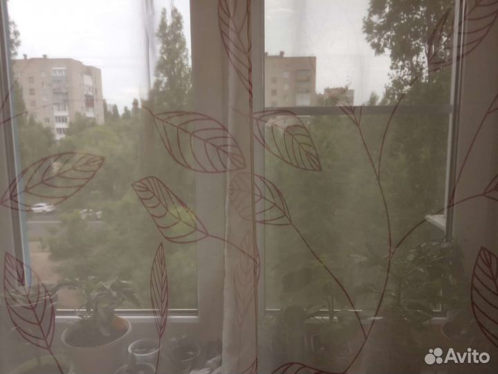 Шторы блэкаут и тюль