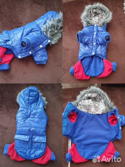 Одежда, обувь для маленьких собак