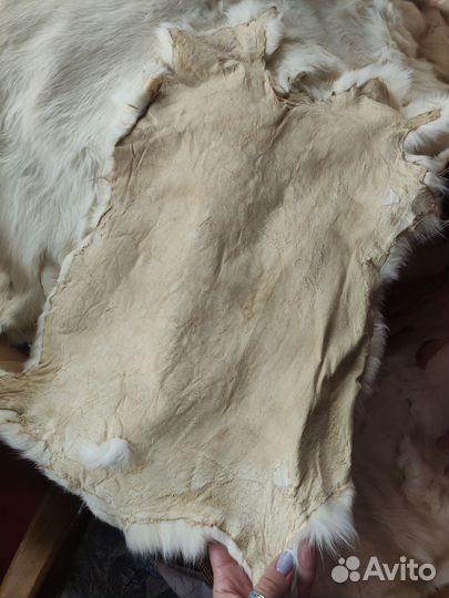 Выделанный мех кролика белый