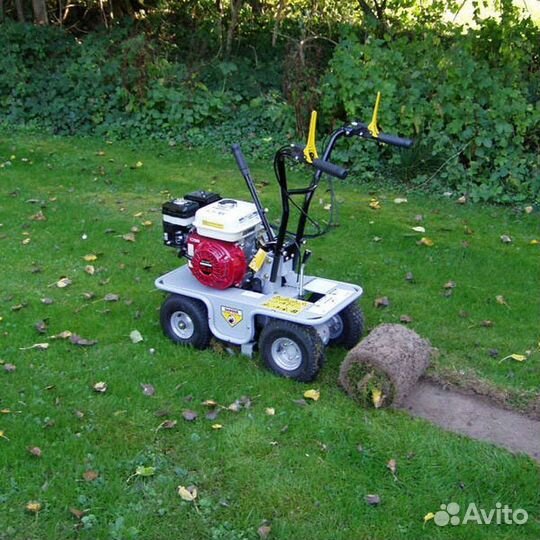 Рулонный газон с бесплатным замером