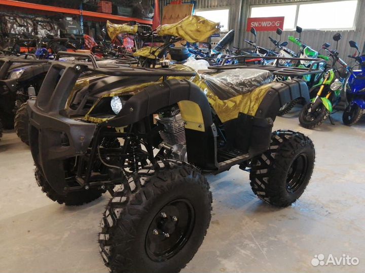 Квадроцикл Motoland atv 250 adventure