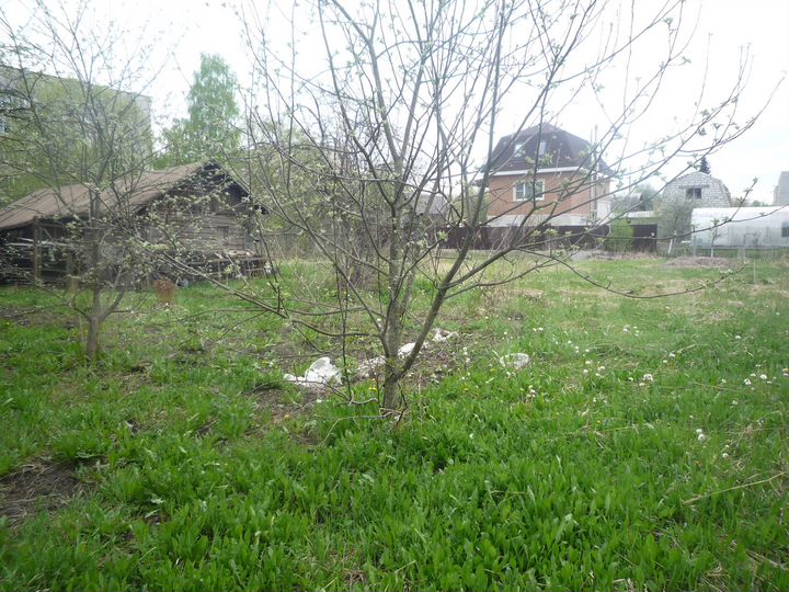 Дом 41 м² на участке 14 сот.