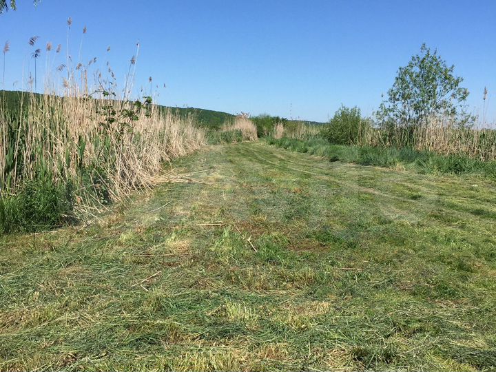 Участок 11,39 га (СНТ, ДНП)