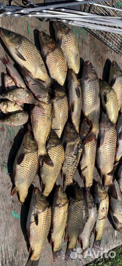 Удочка телкскоп 4 м новая легкая микадо