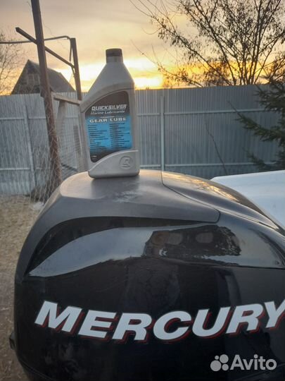 Лодка с мотором