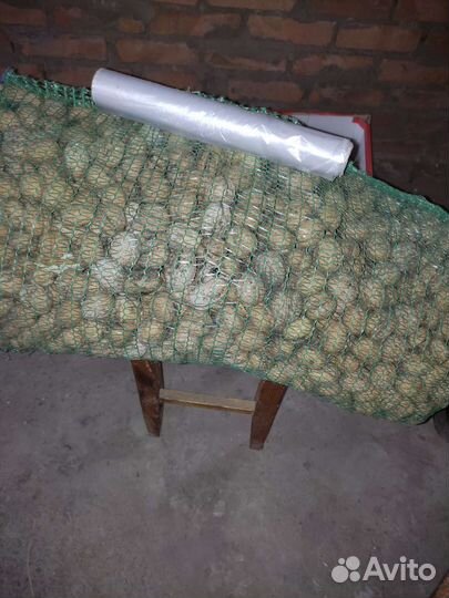 Грецкий орех