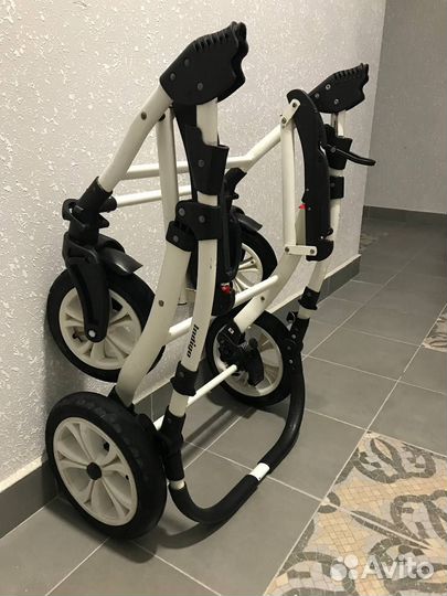 Коляска indigo charlotte 3 в 1