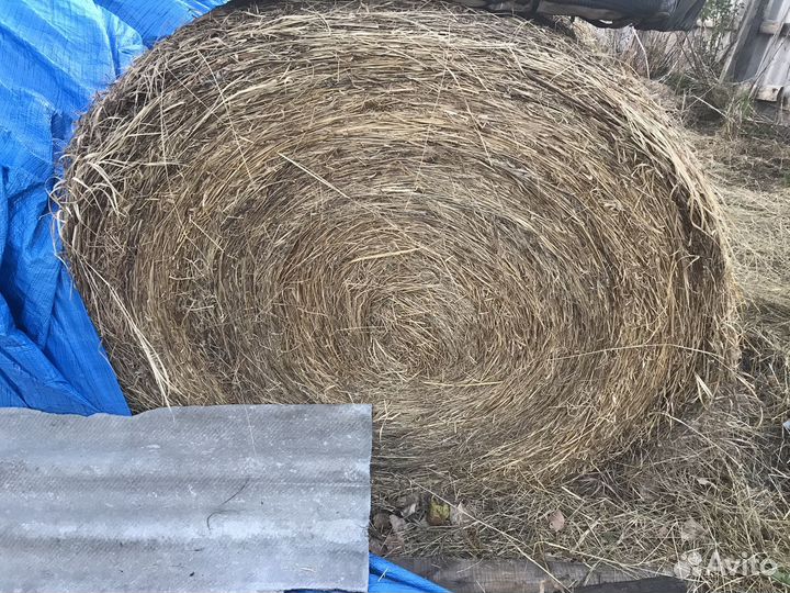 Сено в тюках