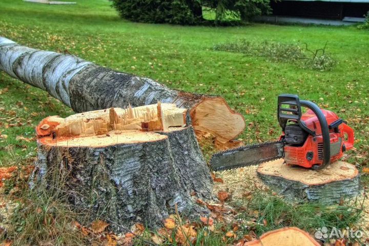 Спил деревьев с вывозом