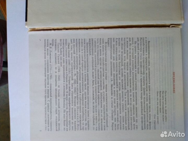 Великие жизни в математике