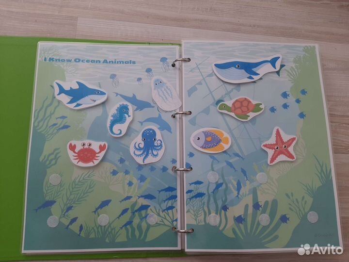 Лэпбук на английском языке