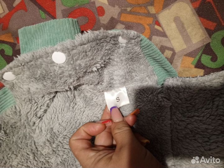 Одежда для собак