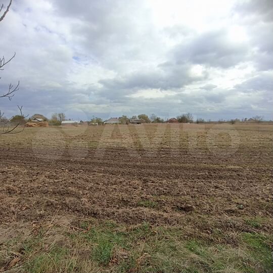 Участок 25 сот. (ИЖС)