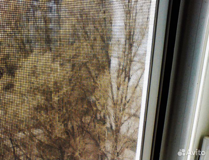 Москитная сетка