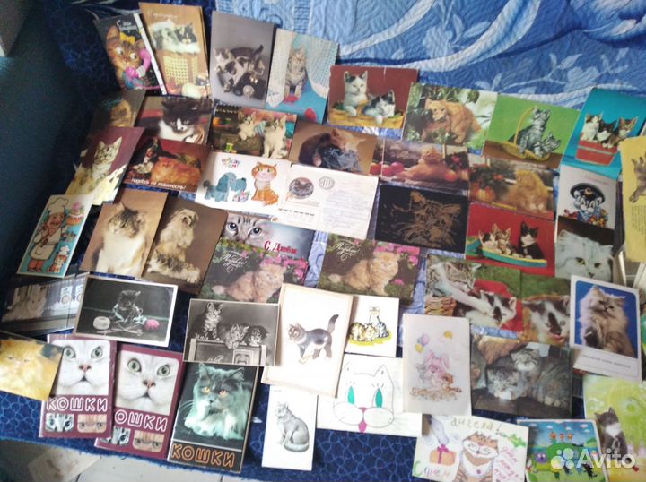 Кошачьи,Буратино,малютки