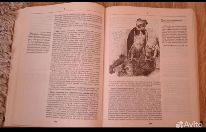 Энциклопедия жизнь животных