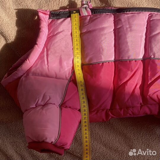 Зимние комбинезоны француз/мопс