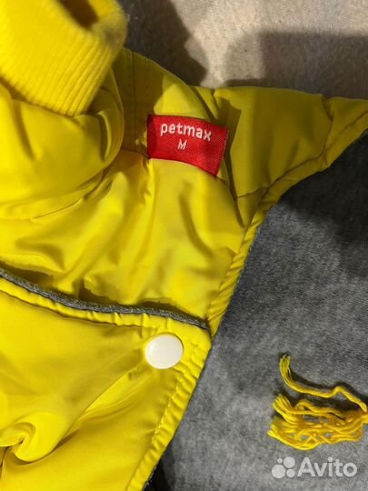 Одежда для собак