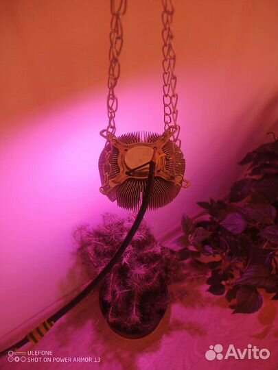 Фитосветильник для растений