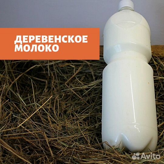 Молоко, творог, сметана, масло, яйцо куриное