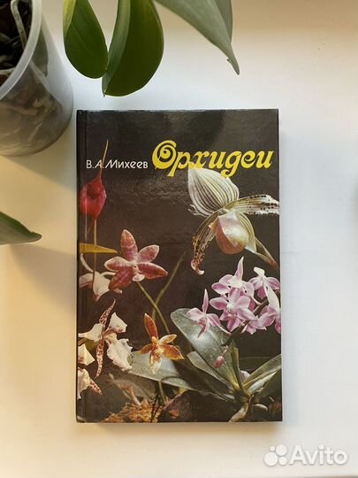 Книга Орхидеи В.А.Михеев 1993г рус-англ
