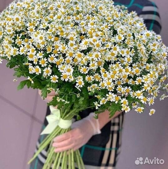 Ромашки Пионы Розы Доставка