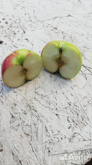 Яблоки