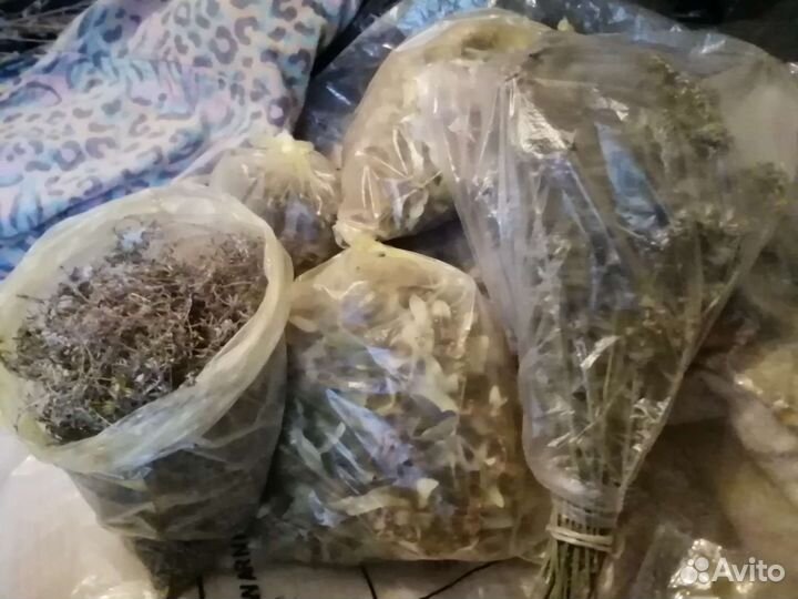 Лекарственные травы