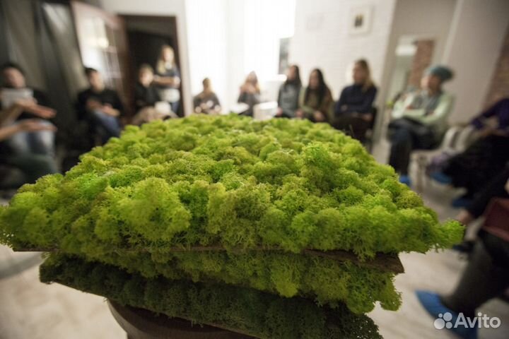 Панели мха. Стабилизированный мох