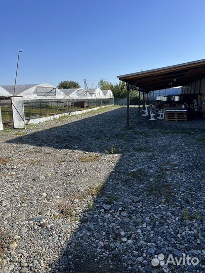 Тепличный комплекс