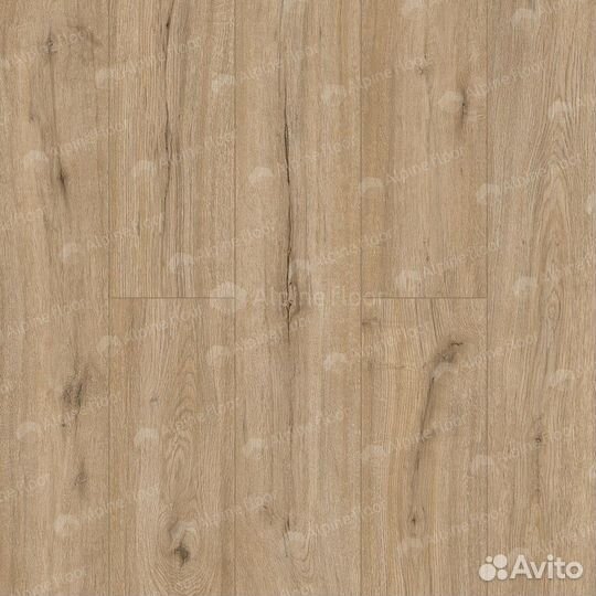 AlpineFloor Solo