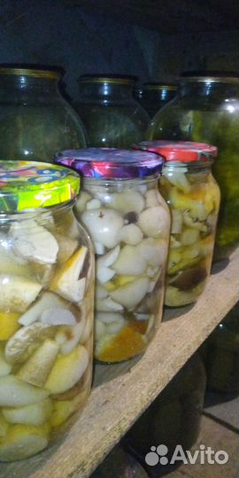 Грибы маринованные
