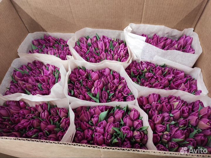 Цветы оптом тюльпаны Донецк