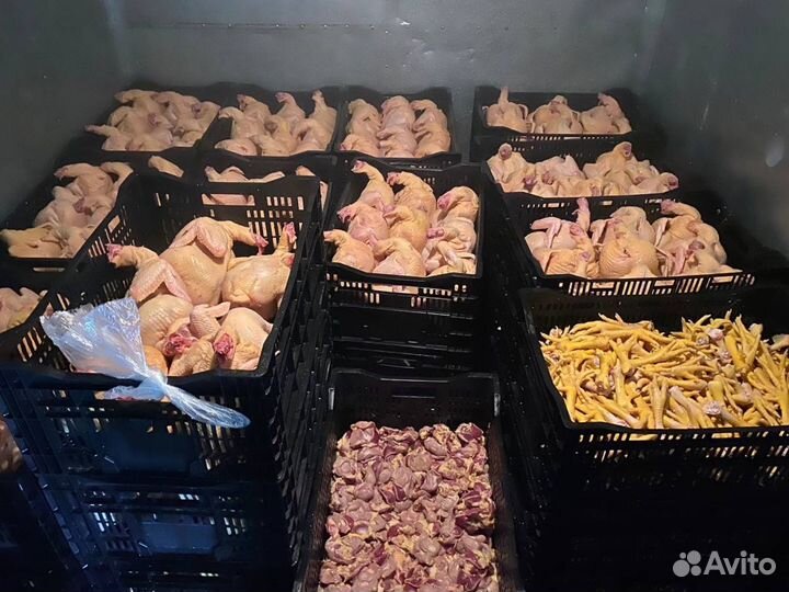 Фермерские куры / оптом / халяль