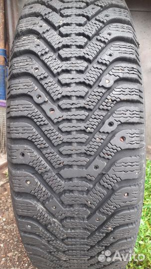 Apollo Acelere 195/65 R15