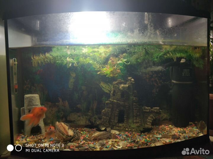 Аквариум с рыбками
