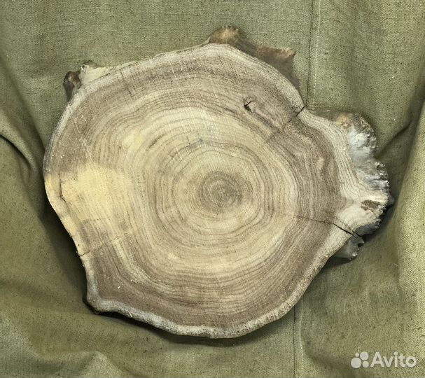 Спил карагача