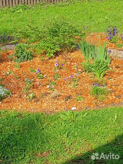 Щепа для мульчи