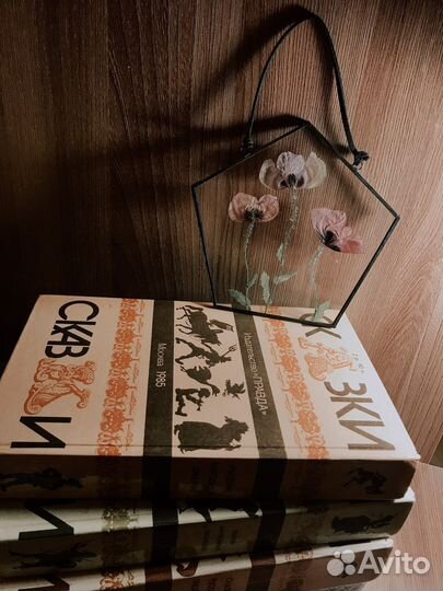 Гербарий в стекле с маками